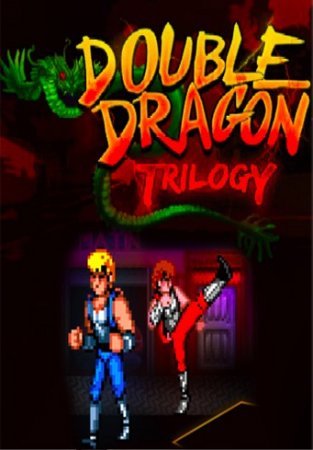 Double Dragon Trilogy Фото