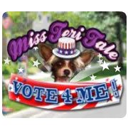 Miss Teri Tale: Vote 4 Me Фото