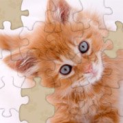 Adorable Kitten Jigsaw Puzzle Фото