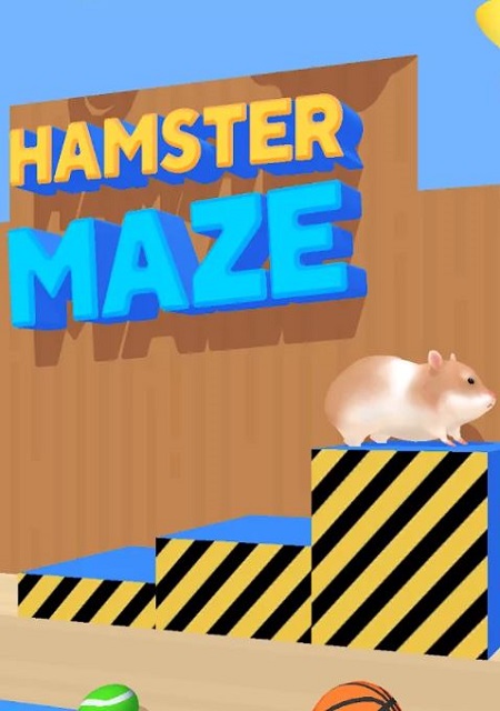 Hamster Maze Фото