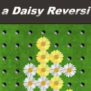 a Daisy Reversi Фото