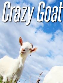 Crazy Goat Фото