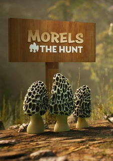 Morels: The Hunt Фото