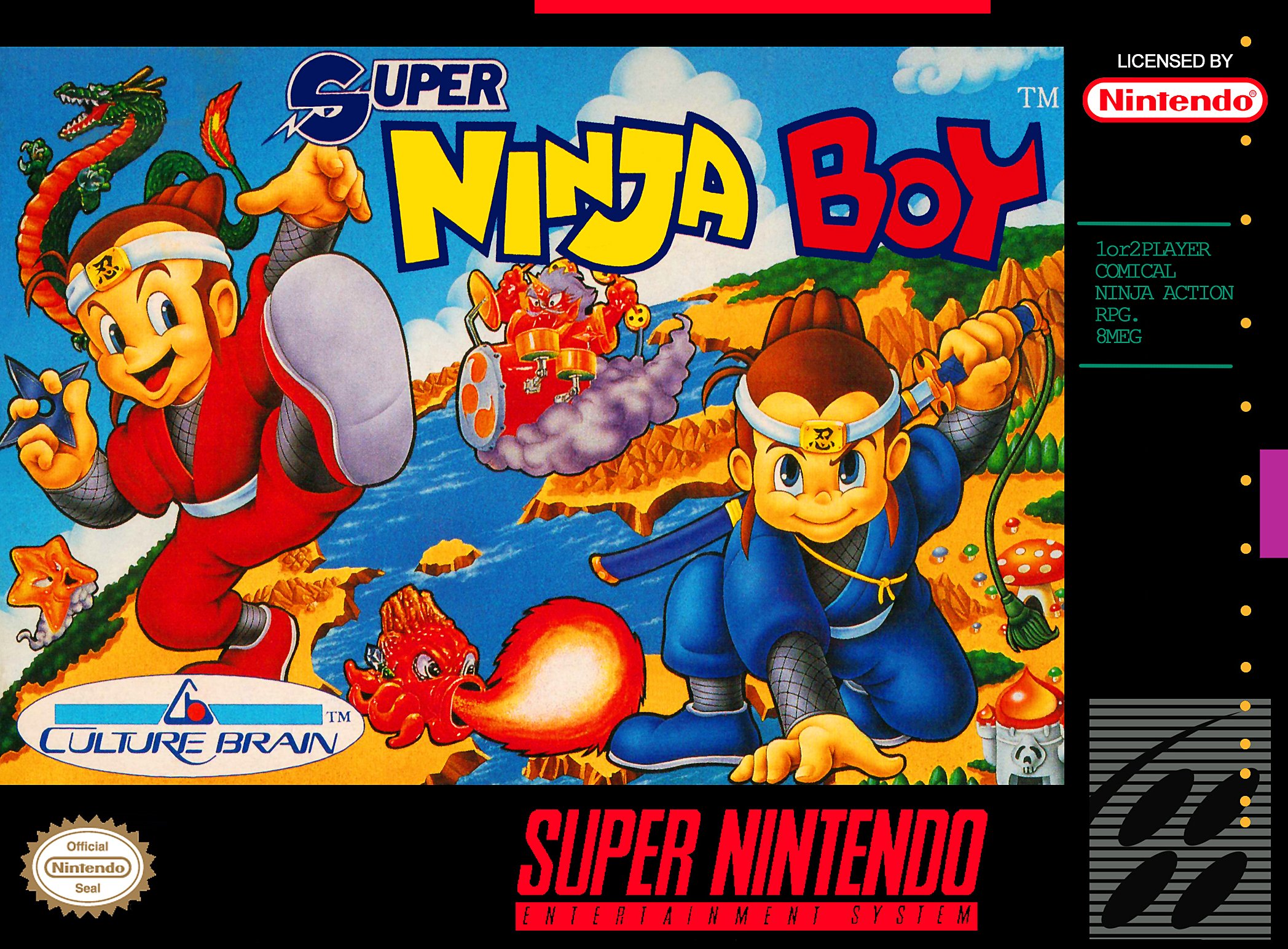 Super Ninja Boy Фото