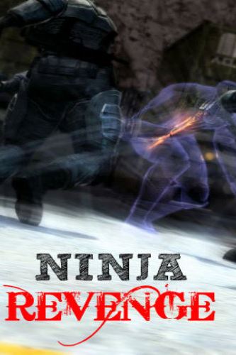 Ninja Revenge Фото