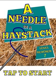 A-Needle-In-A-Haystack Фото