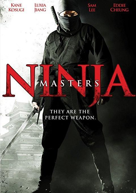 Ninja Masters Фото