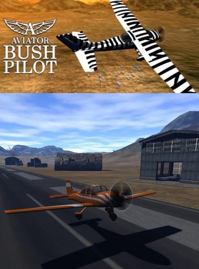 Aviator - Bush Pilot Фото