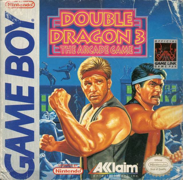 Double Dragon III: The Arcade Game Фото