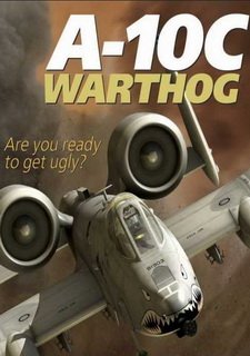 Digital Combat Simulator: A-10C Warthog Фото