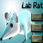 Lab Rat Фото