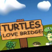 Turtles Bridge Фото