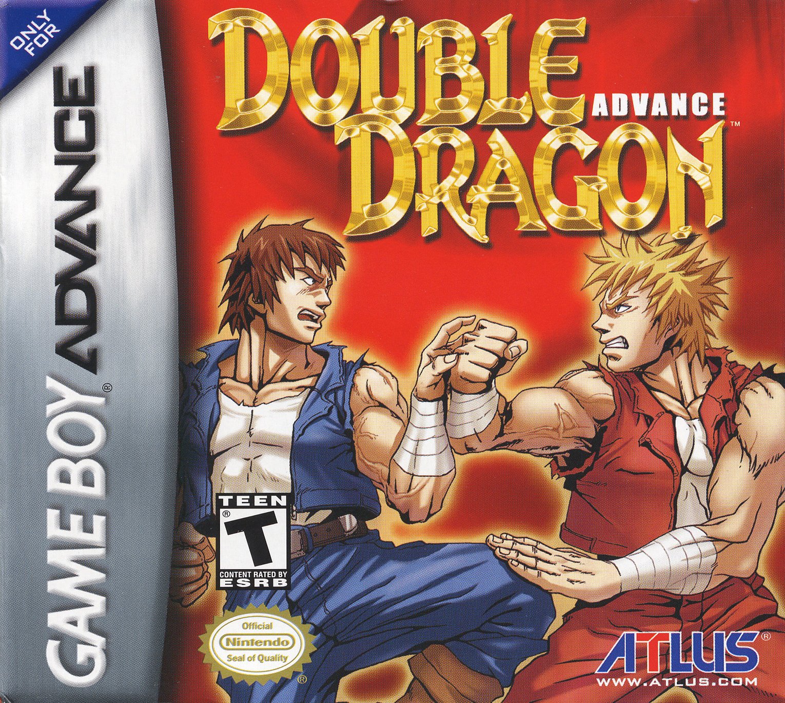 Double Dragon Advance Фото