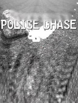 Police Chase Фото