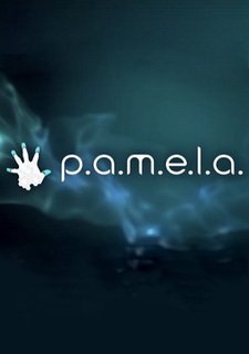 P.A.M.E.L.A. Фото