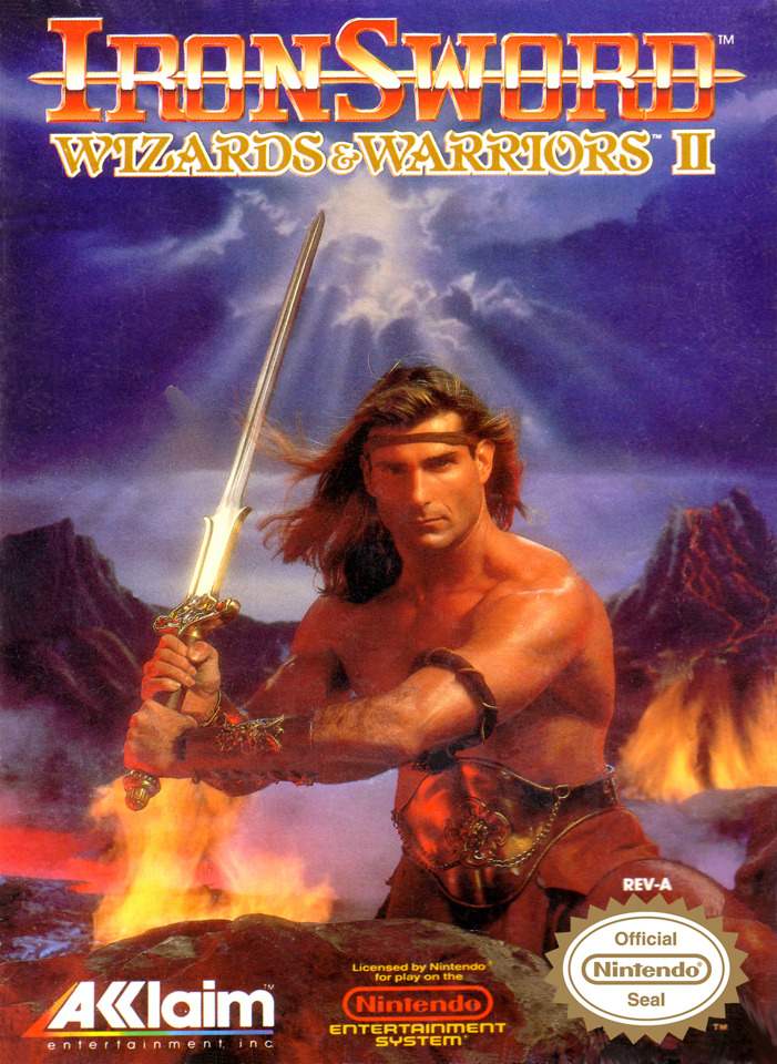 IronSword: Wizards & Warriors II Фото