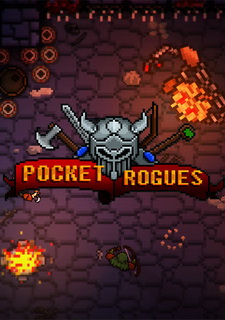 Pocket Rogues Фото