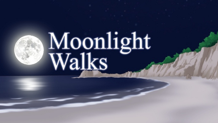 Moonlight Walks Фото