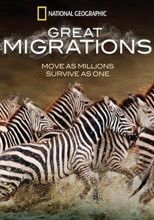 Great Migrations Фото