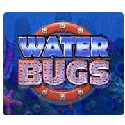 Water Bugs Фото