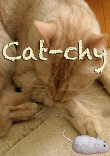 Cat-chy Фото