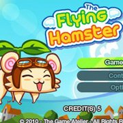 Flying Hamster Фото