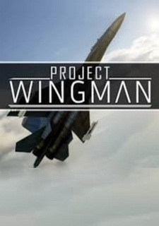 Project Wingman Фото