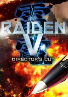 Raiden V: Director's Cut Фото