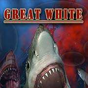 Great White Фото