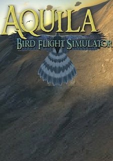 Aquila Bird Flight Simulator Фото