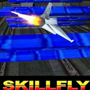 Skillfly Фото