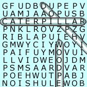 AArdvark Word Search Фото