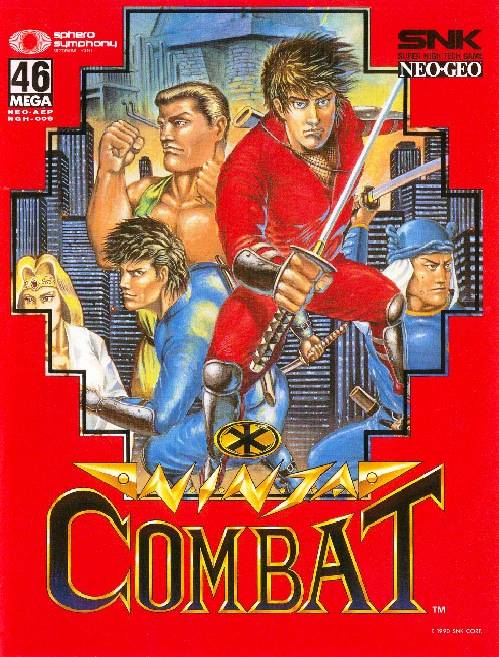 Ninja Combat Фото