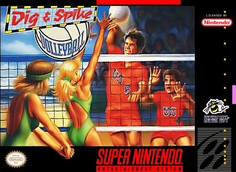 Dig & Spike Volleyball Фото