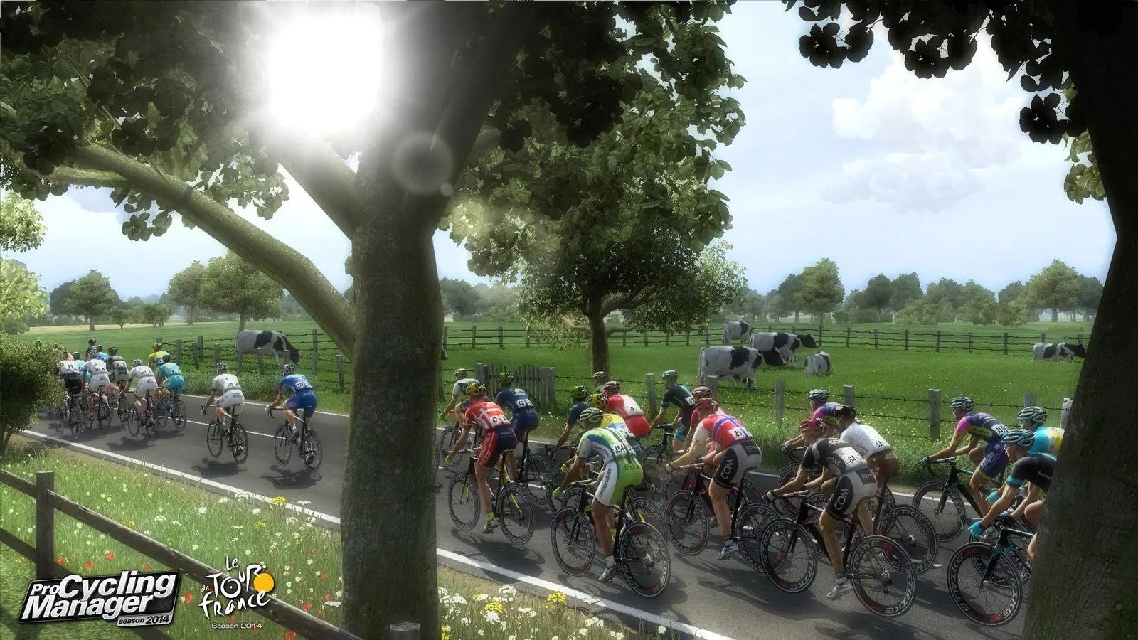 Скриншот 2 игры Pro Cycling Manager Season 2014: Le Tour de France