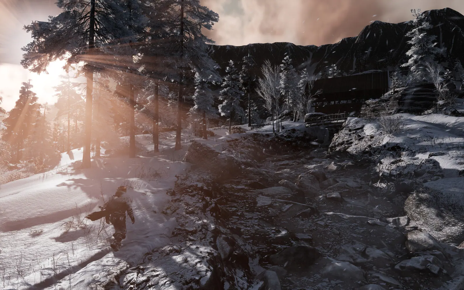 Скриншот 8 игры Fade to Silence