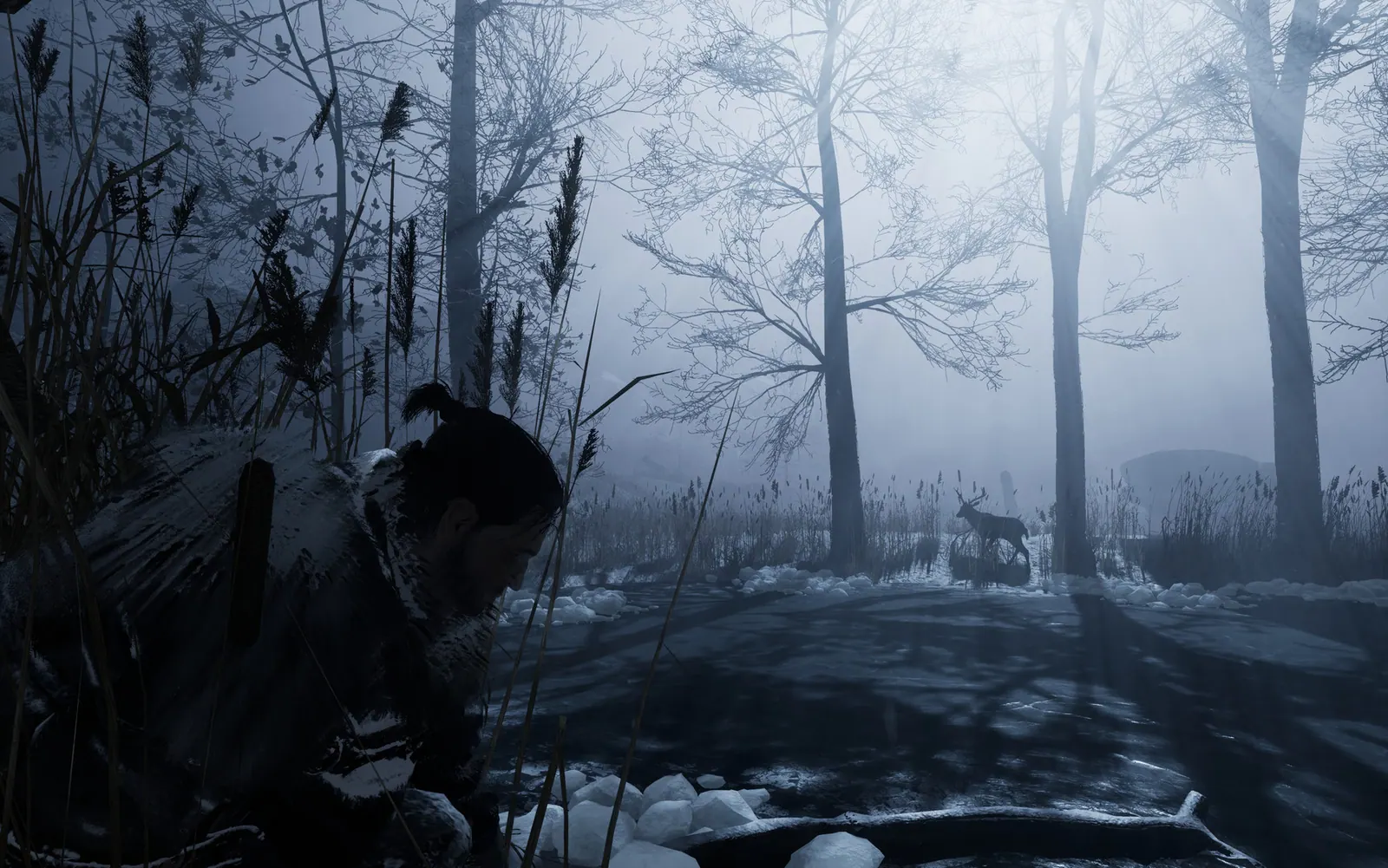 Скриншот 6 игры Fade to Silence