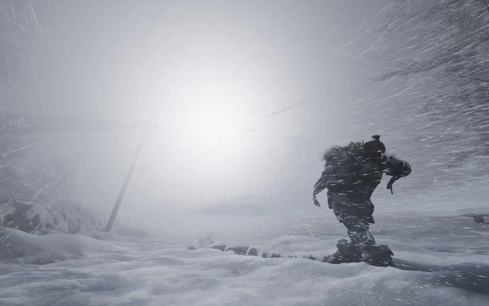 Скриншот 5 игры Fade to Silence