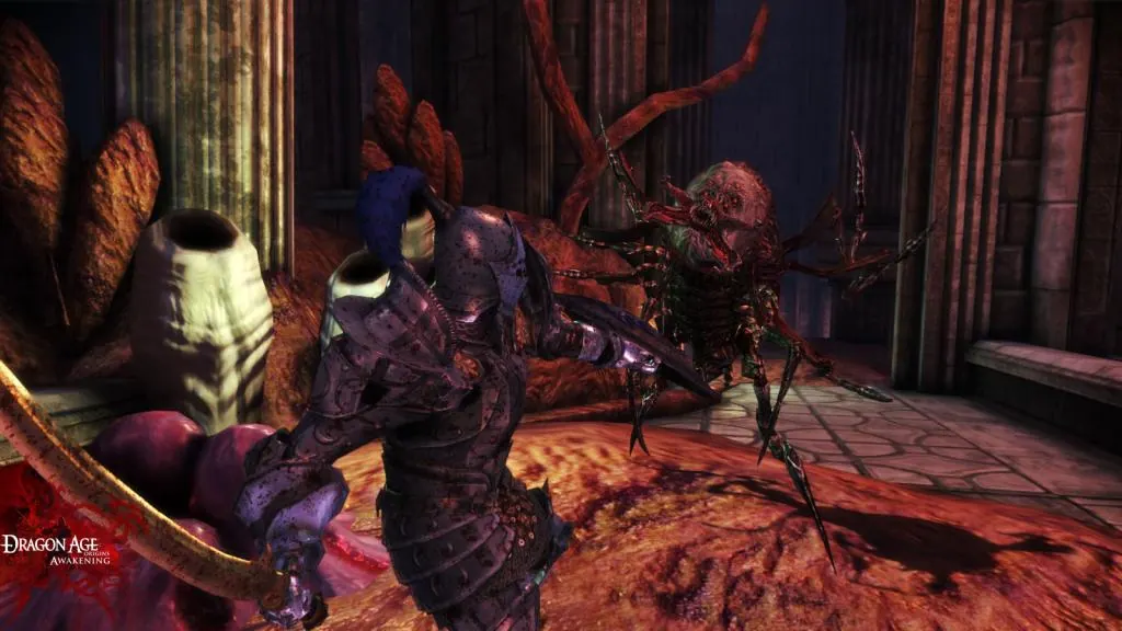 Скриншот 6 игры Dragon Age: Origins - Awakening