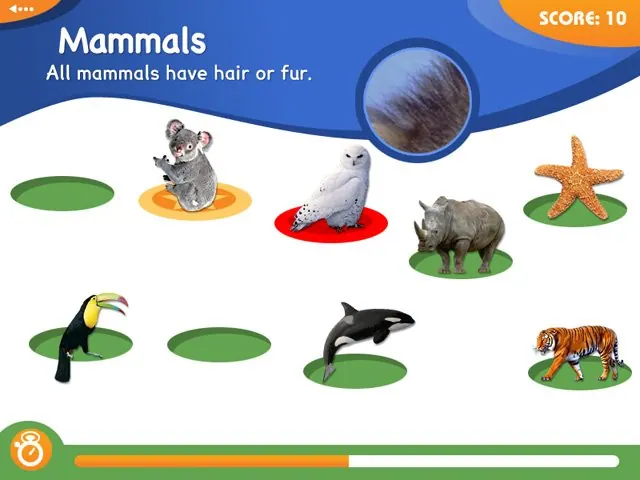 Скриншот 3 игры Animal Genius