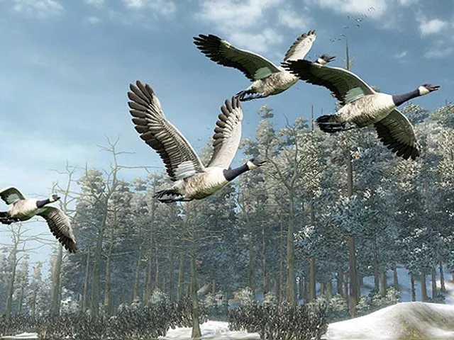Скриншот 2 игры Cabela's Outdoor Adventures 2010