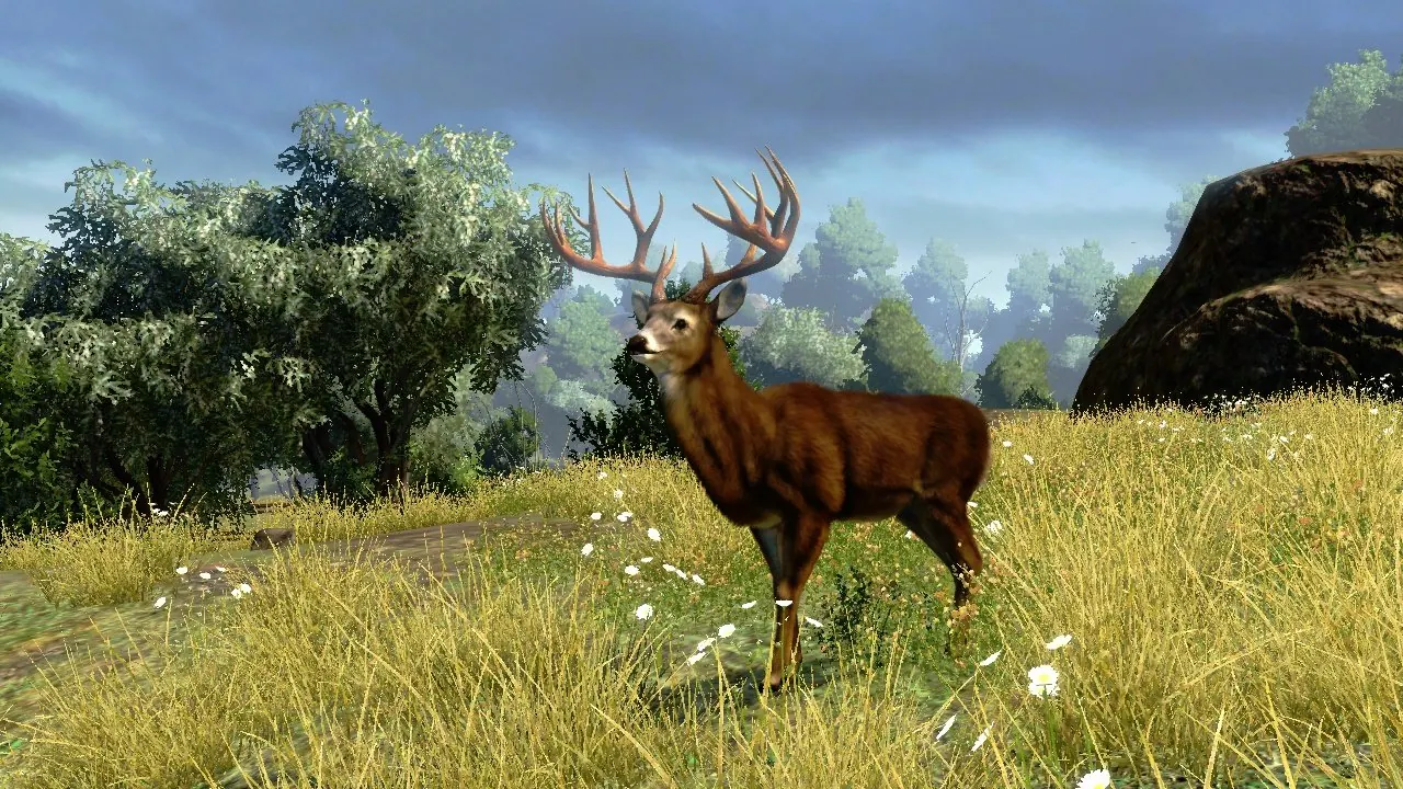 Скриншот 4 игры Cabela's Outdoor Adventures 2010