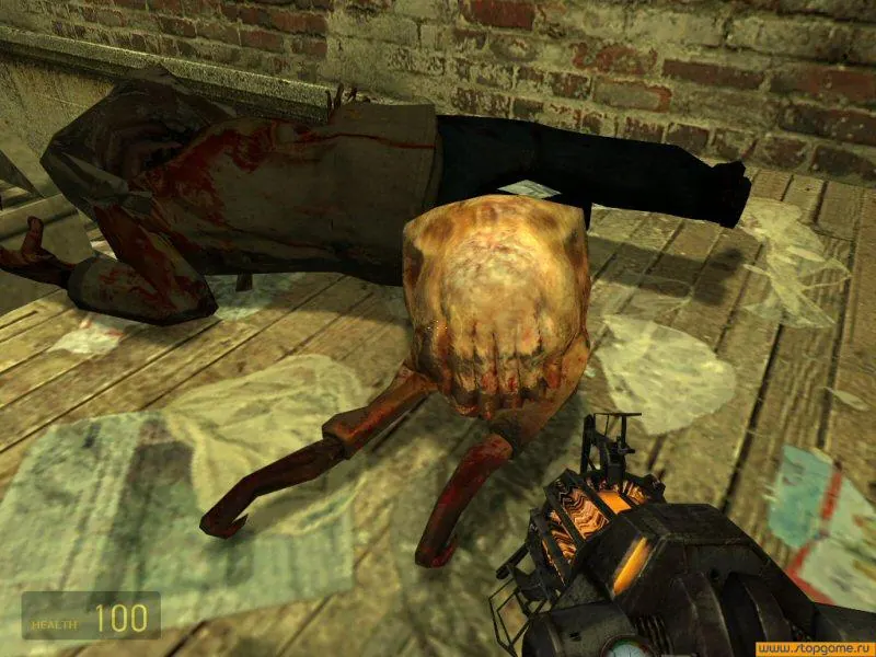 Скриншот 7 игры Half-Life 2