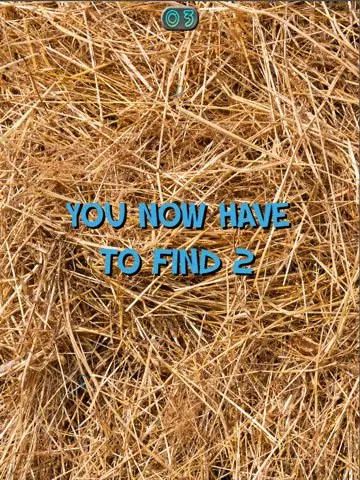 Скриншот 3 игры A-Needle-In-A-Haystack