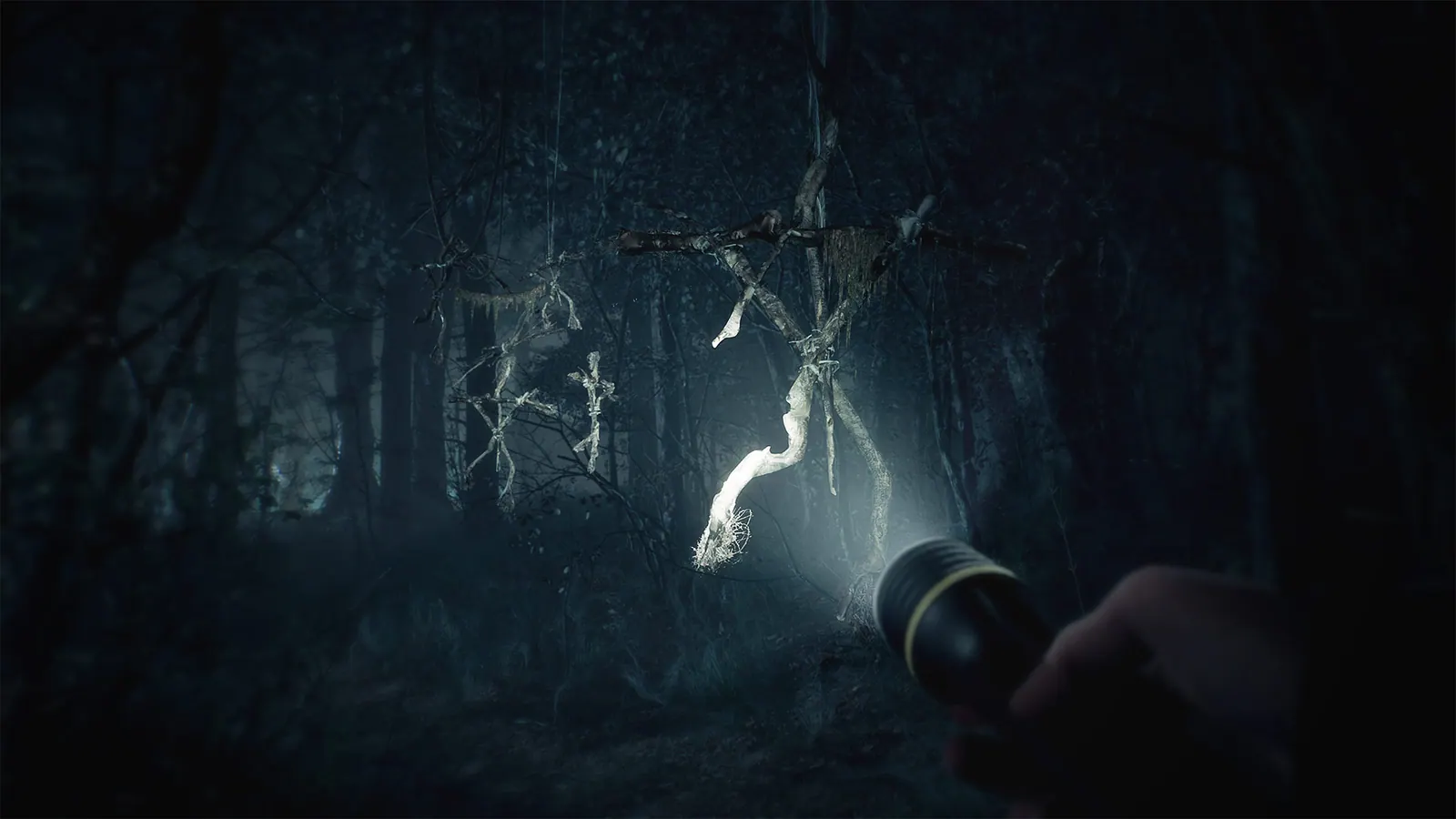Скриншот 8 игры Blair Witch