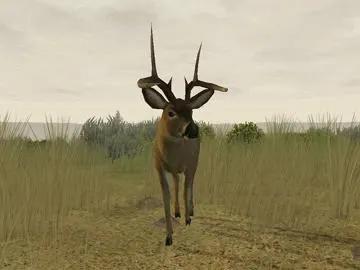Скриншот 3 игры Ace Deer Hunter