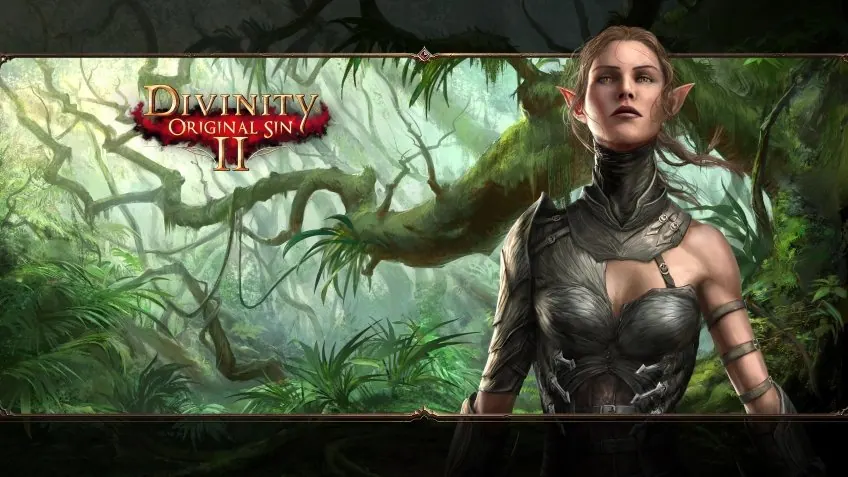 Скриншот 7 игры Divinity: Original Sin II