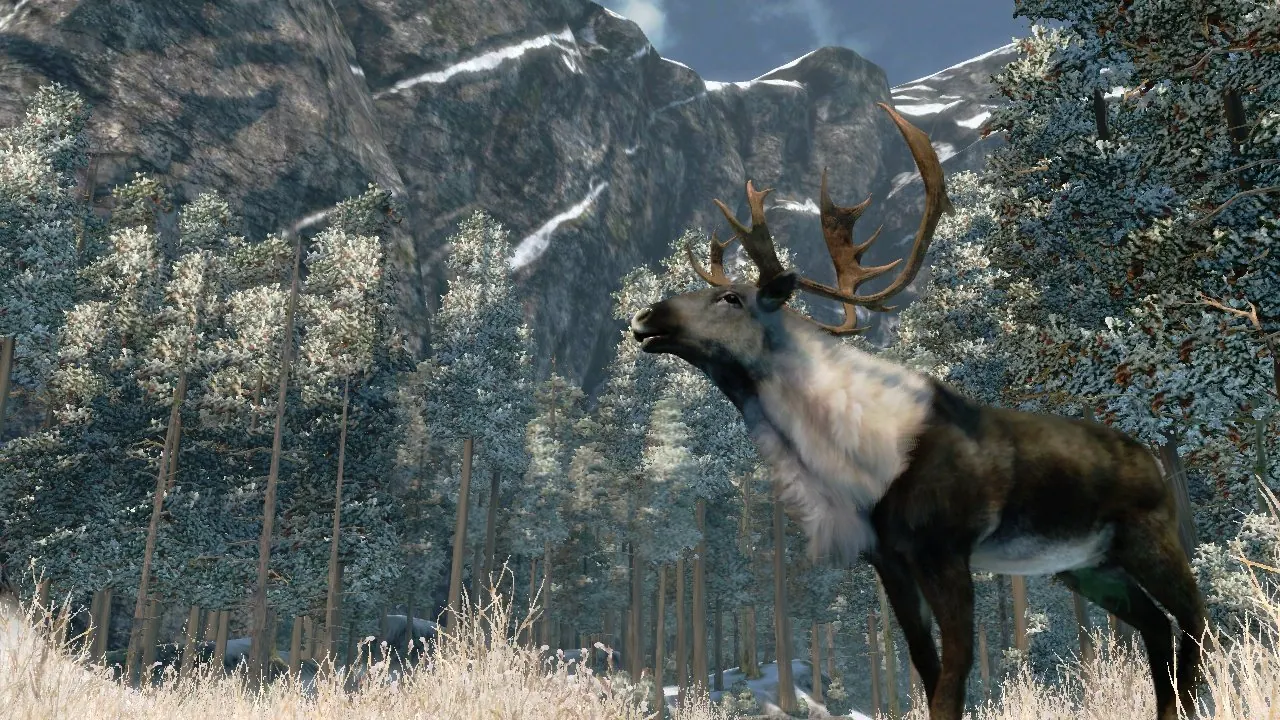 Скриншот 3 игры Cabela's Outdoor Adventures 2010