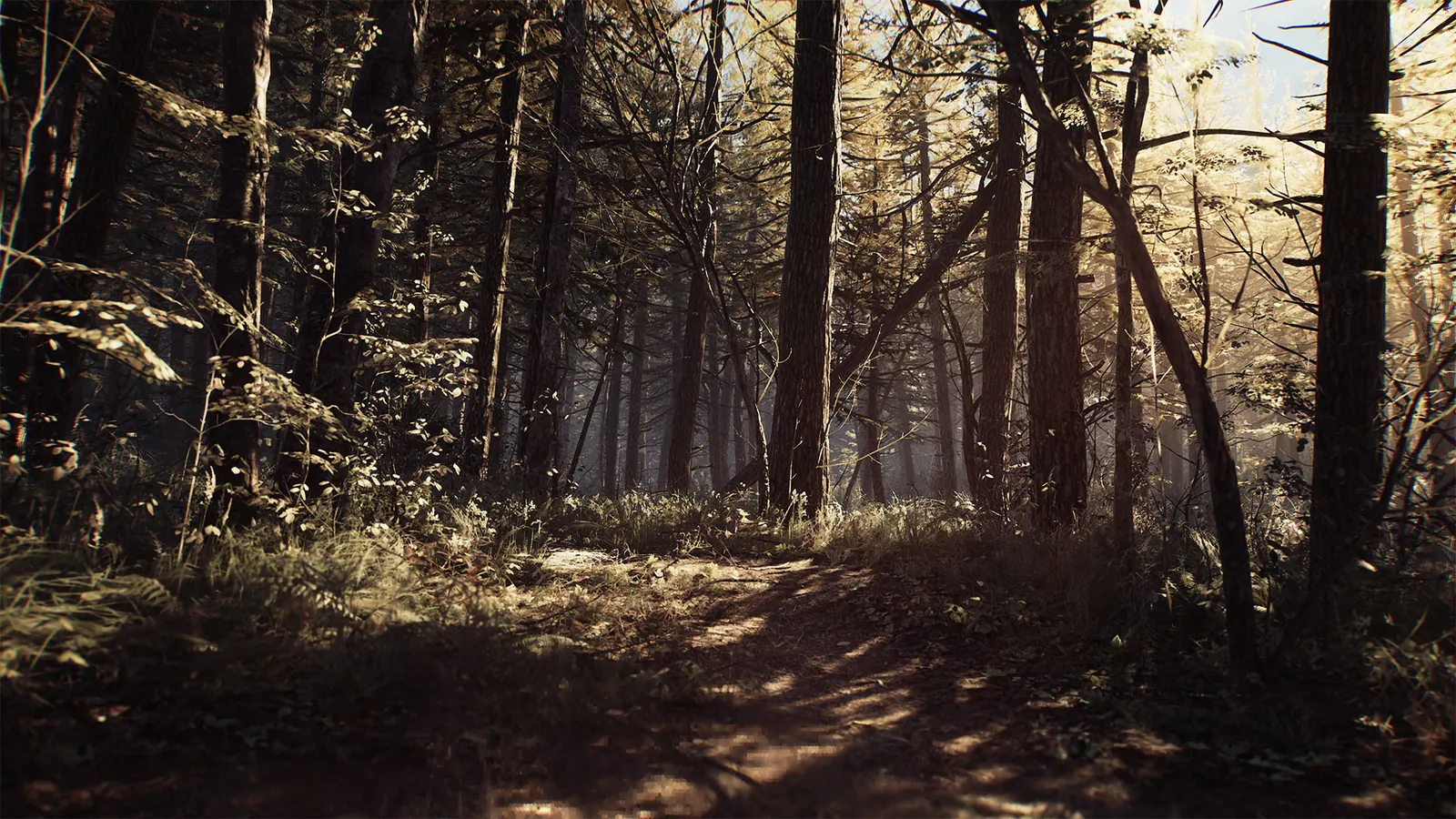 Скриншот 6 игры Blair Witch