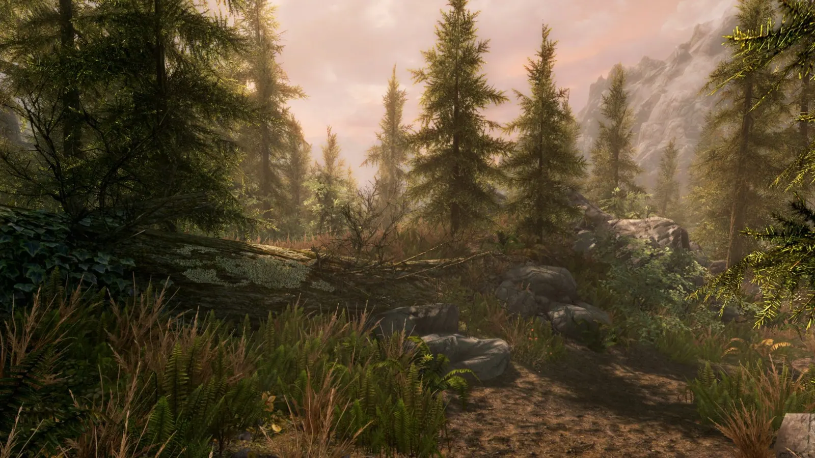 Скриншот 6 игры The Elder Scrolls V: Skyrim Special Edition